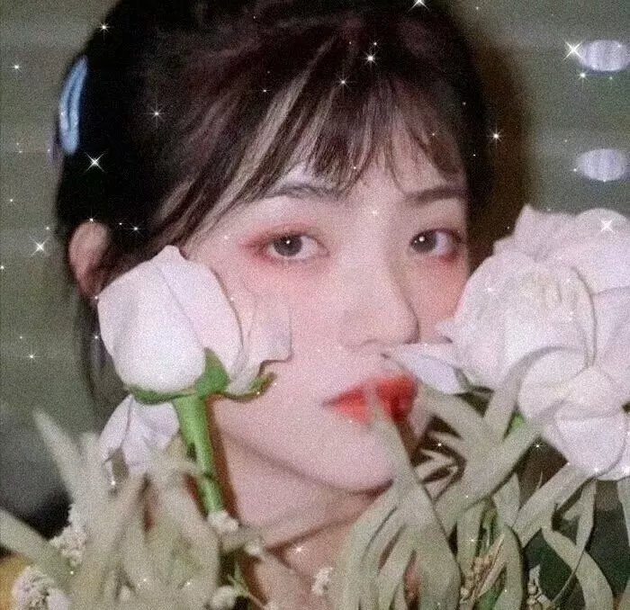 逆转世界的电池少女